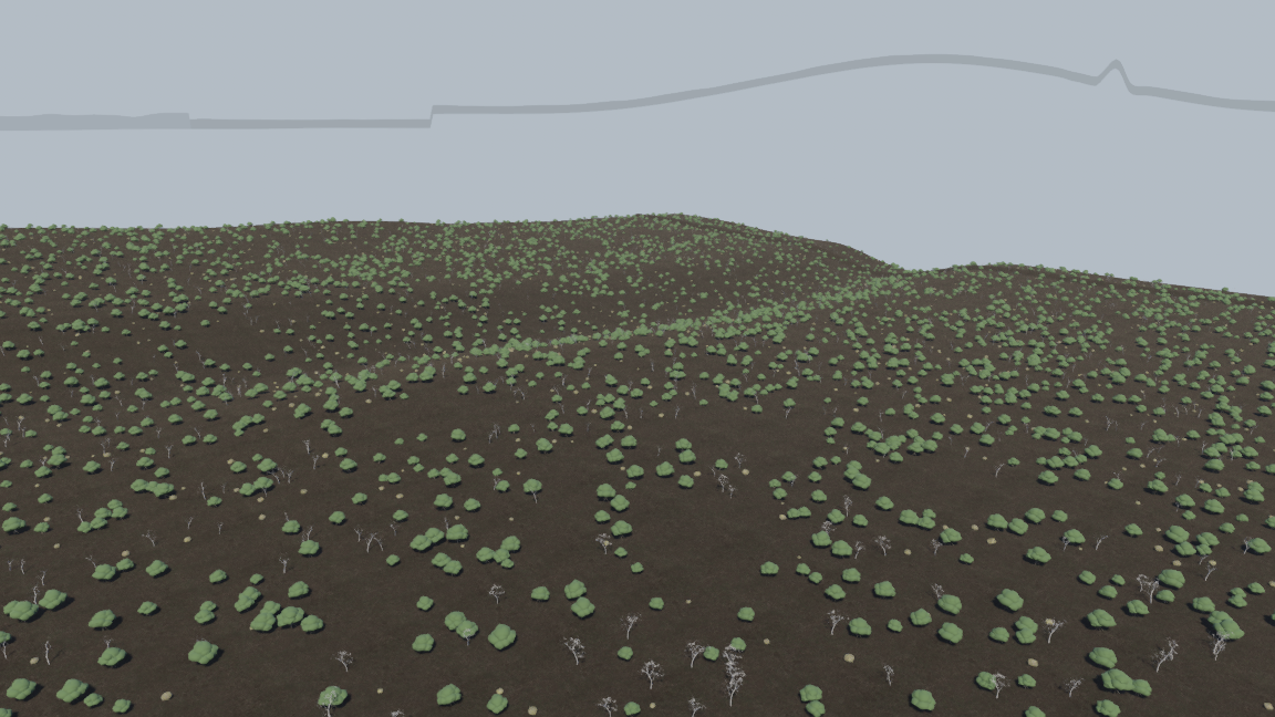 The Ashwood. Scrub across a two-hundred-year-old burn — the standing dead are still missing.